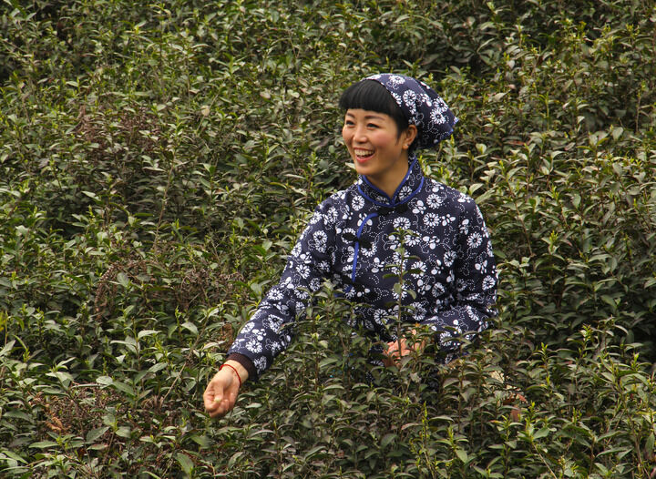 百丽官·迷途